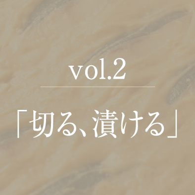 vol.2